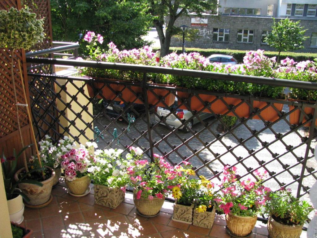 Patio Mare Amber Apartment Sopot Ngoại thất bức ảnh